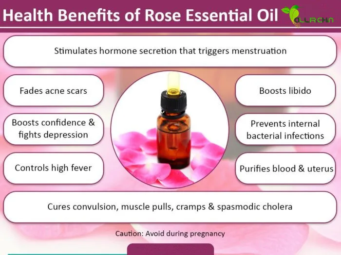 Bulk Pure Bulgarian Damask Rose Oil Buy Damask Rose Oil 100 Pure Rose Oil Moroccan Rose Oil Product On Alibaba Com