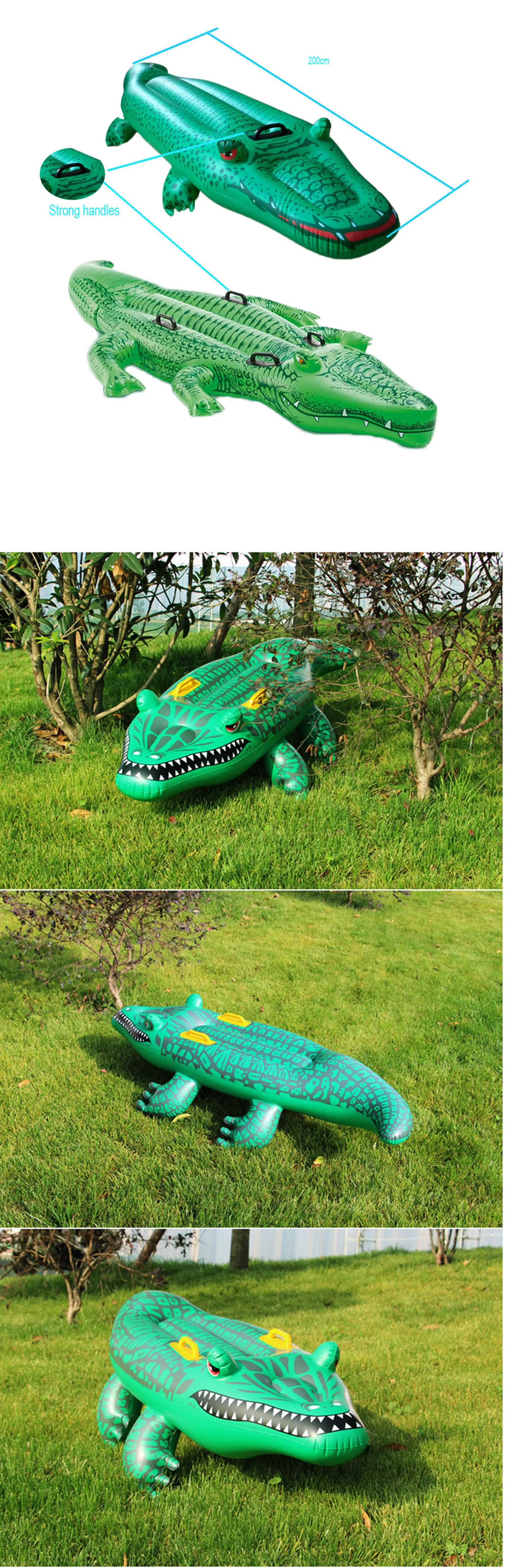 Crocodile-details
