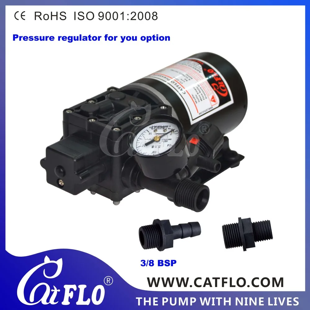 CF-4203()