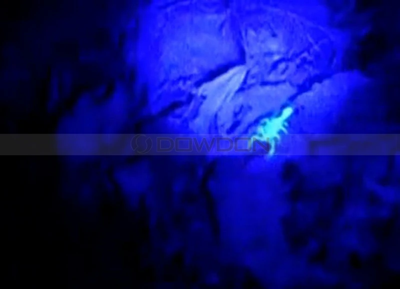 395 Nm Ultra Violet Black Light Csi Inspection Light 21 Led Uv Flashlight Buy 21 Led Uv Flashlight 395nm Uv Flashlight Csi Inspection Flashlight Product On Alibaba Com