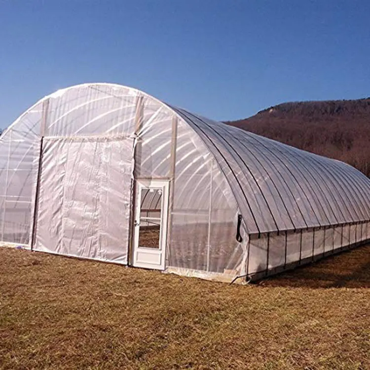 Transparent PET Protect Plastic Film for Greenhouse Covering