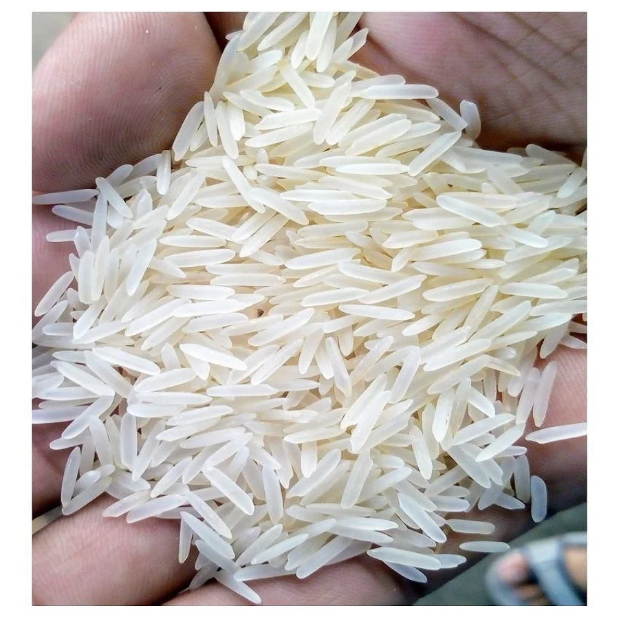 rice7.jpg