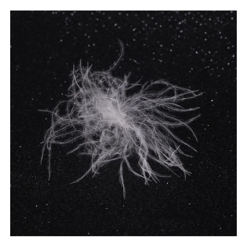 
High Filling material Washed Natural Bulk White Duck Down Feathers 