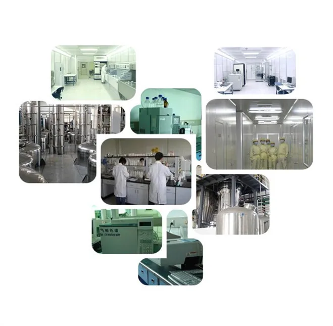 
Food Grade Pure Natural high quality pure Organic Hemp protein powder 