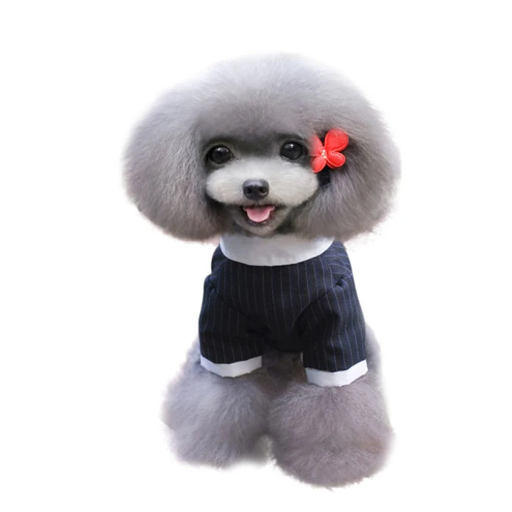 dog suit and tie dog suit and tie