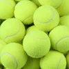 /product-detail/good-quality-itf-professional-cricket-tennis-ball-cheap-toy-pet-tennis-ball-60605599732.html