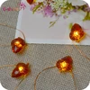 Impress Life Acorn Lights String On Copper Wire