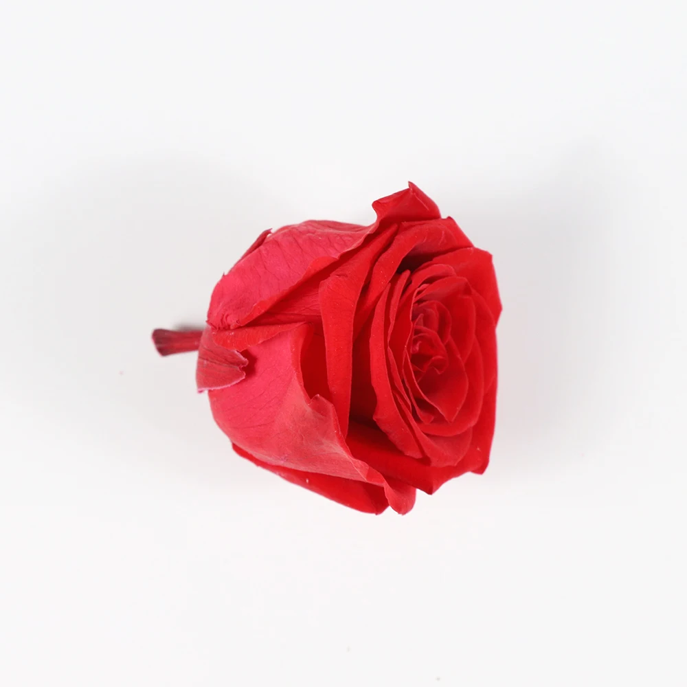 Freeze Dried Roses 45cm Flower Head Preserved Roses From Kunming Buy