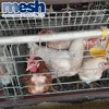 China products 4 layers automatic chicken layer cage for sale in philippines with low price