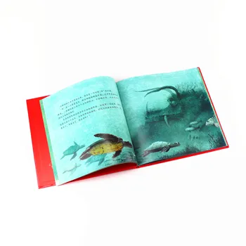 Laptop Boob Photo Plastic Book Binder Freezer Roll Price Up