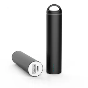Portable 2500mAh USB Bank