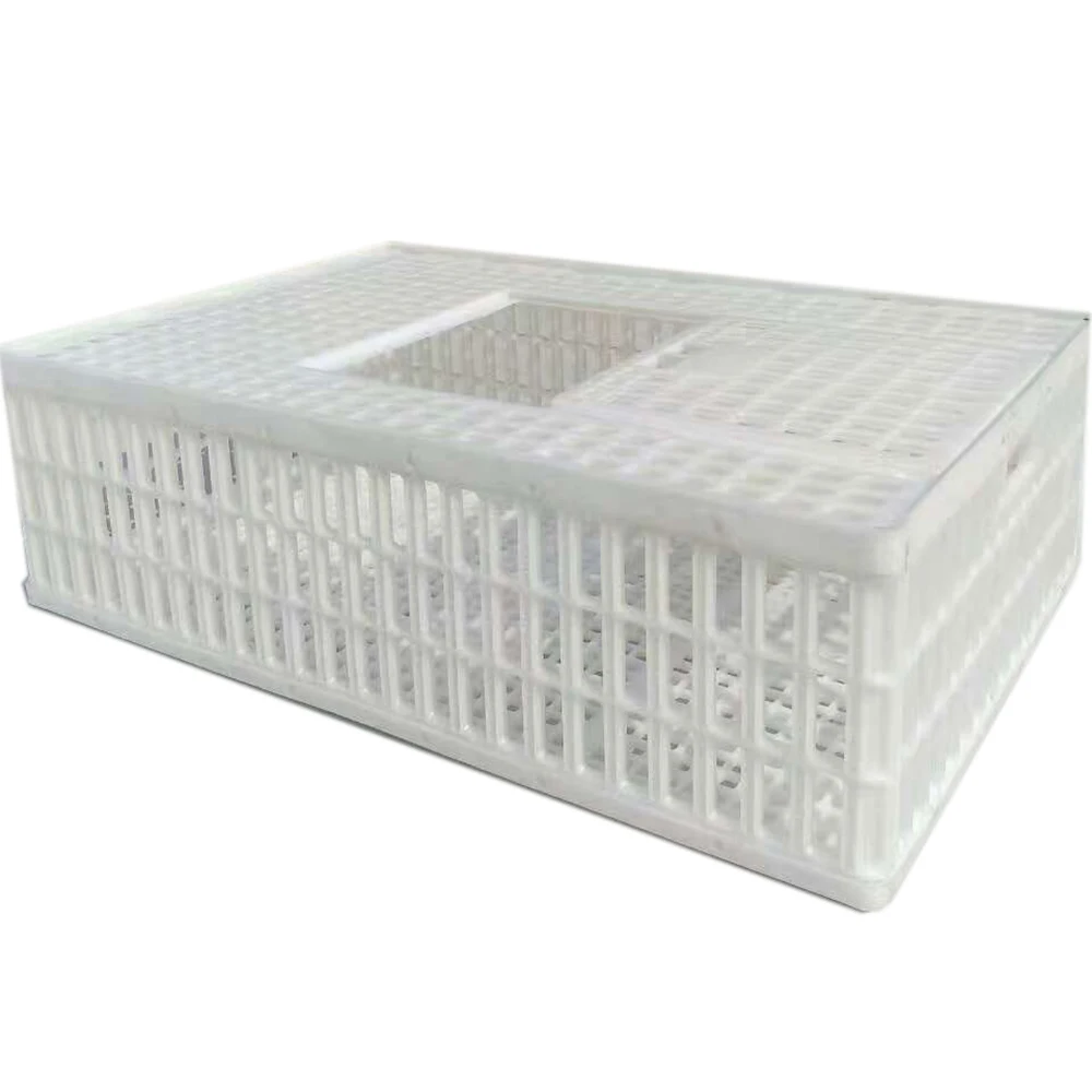Hdpe Chick Container Live Poultry Plastic Chicken Crate Buy Chick