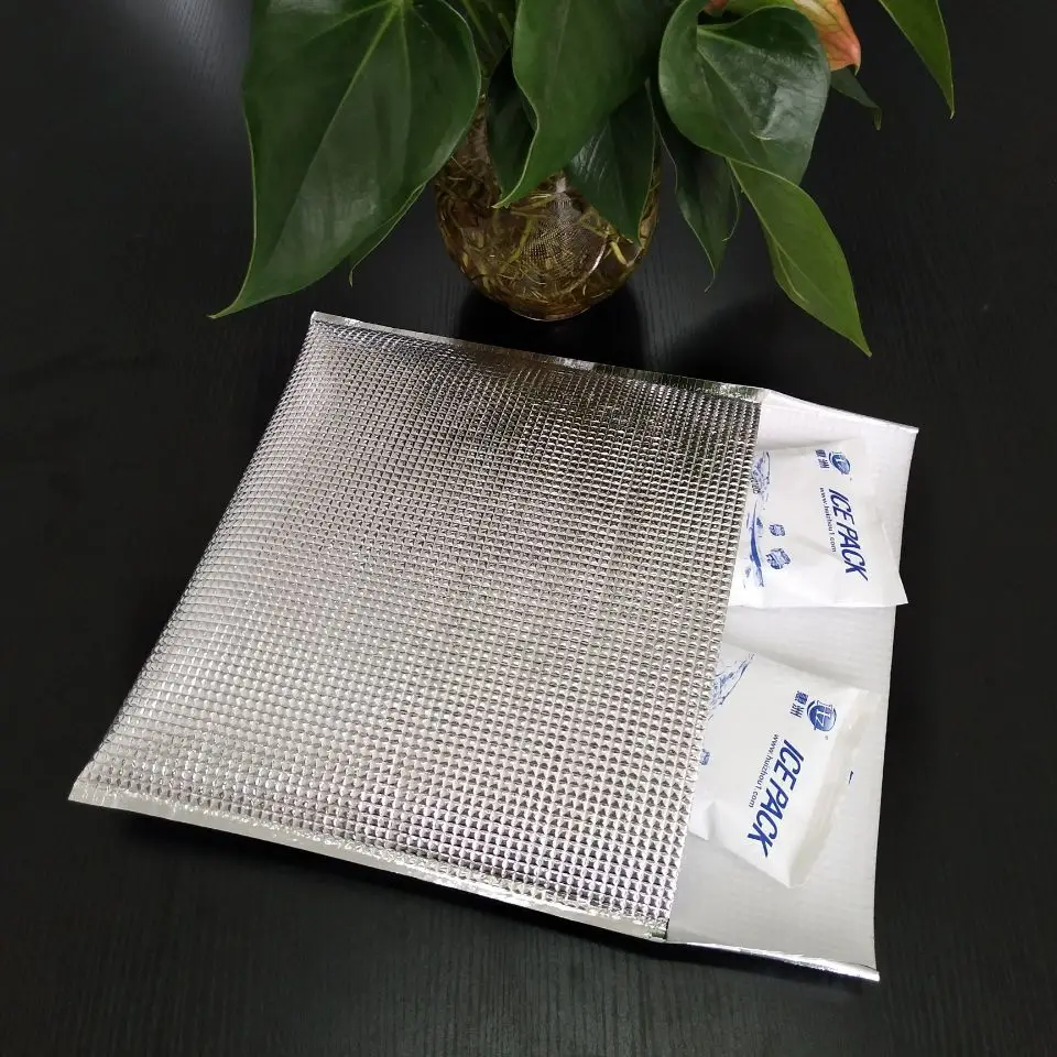 

ThermaPack Fully Insulated Envelopes /cold shipping box liner