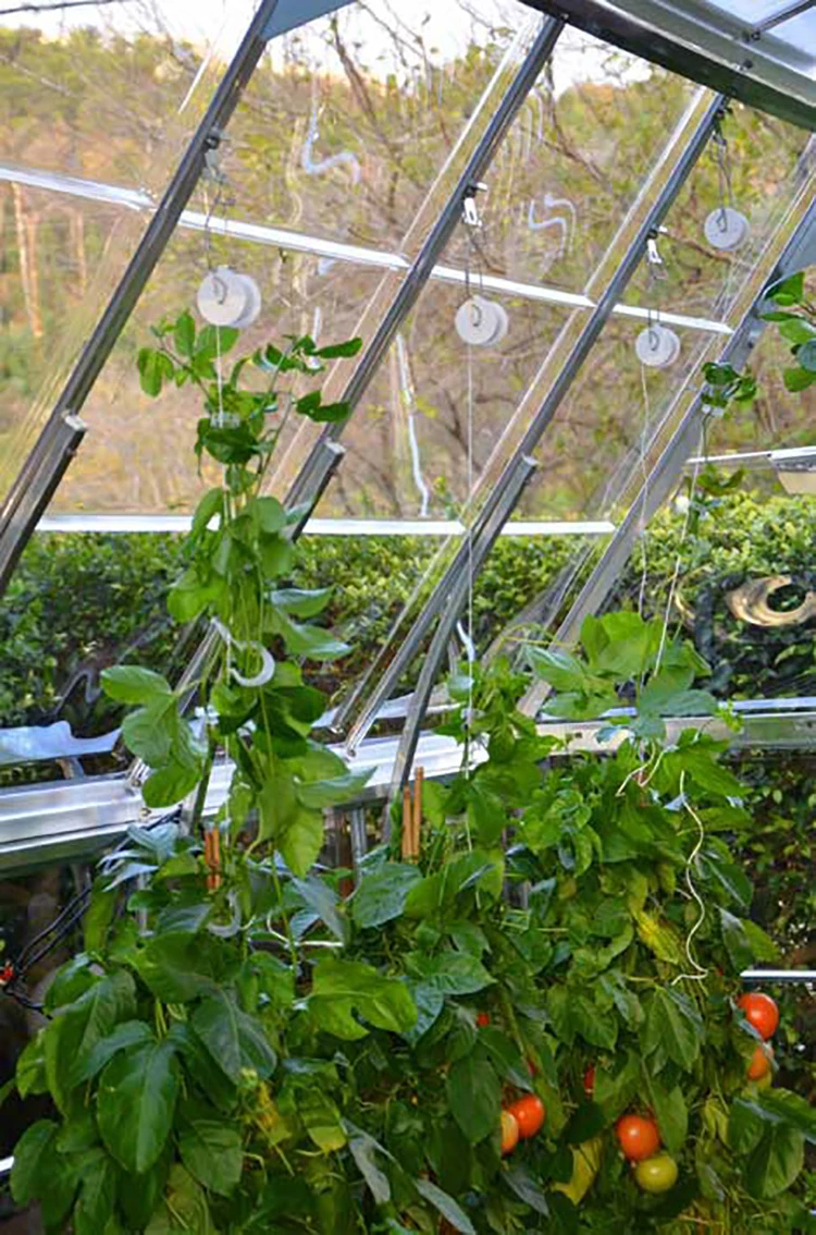 Trellising-Kit-Pro1.jpg