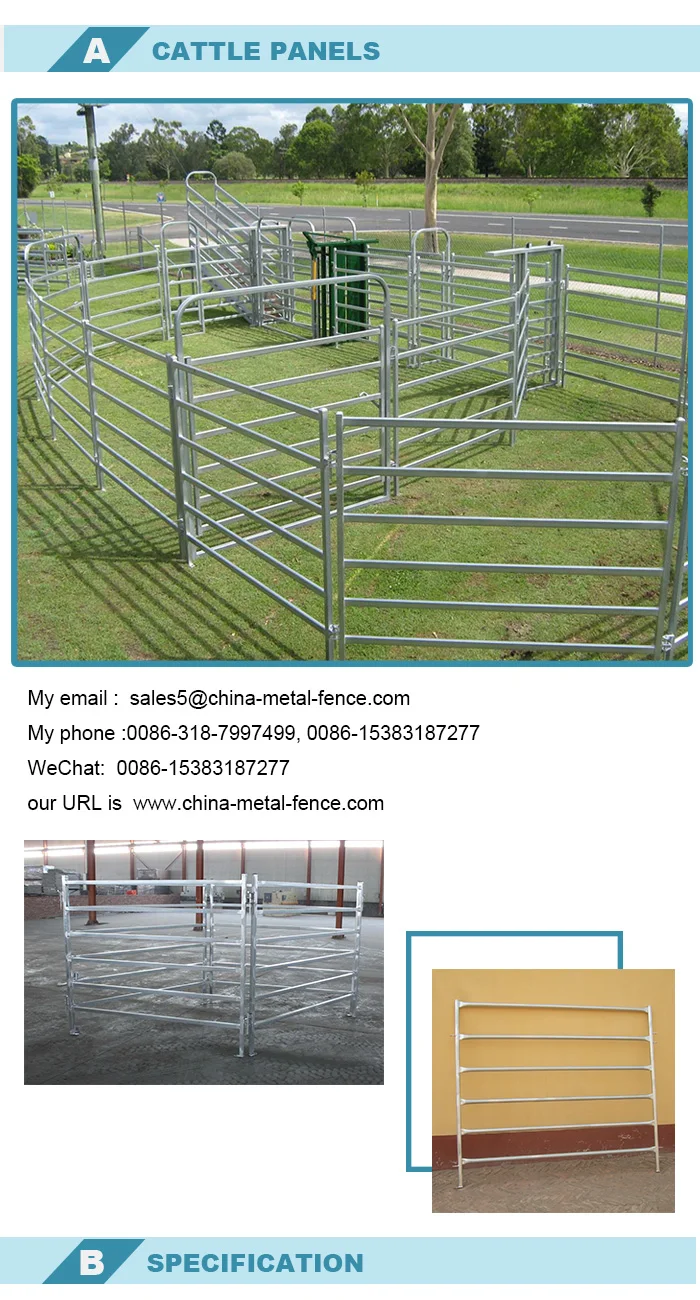 Galvanized Deck Railing 16 Foot Cattle Panels For Sale Buy 16 Foot