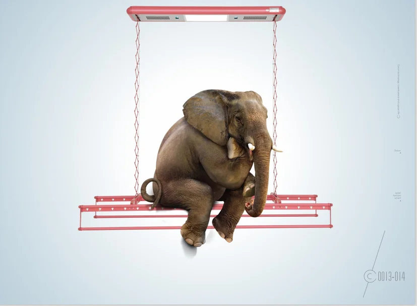 4D7F-B007-71253D4340FD