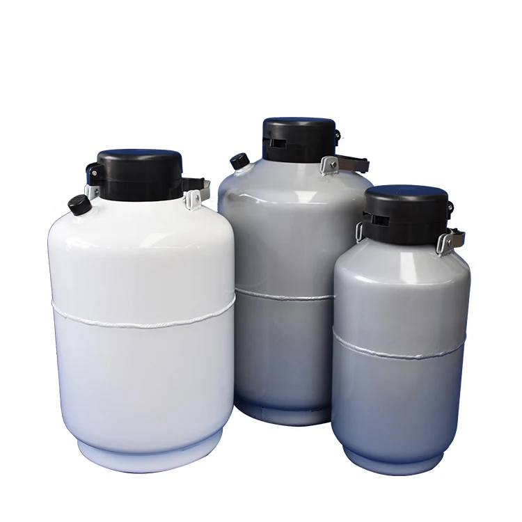 100 L Chemical Storage Tank Liquid Nitrogen Transport Cylinder Cryogenic Vessel