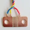 shunt resistor,variable resistor,high voltage resistor