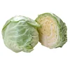 Wholesale fresh cabbage prices