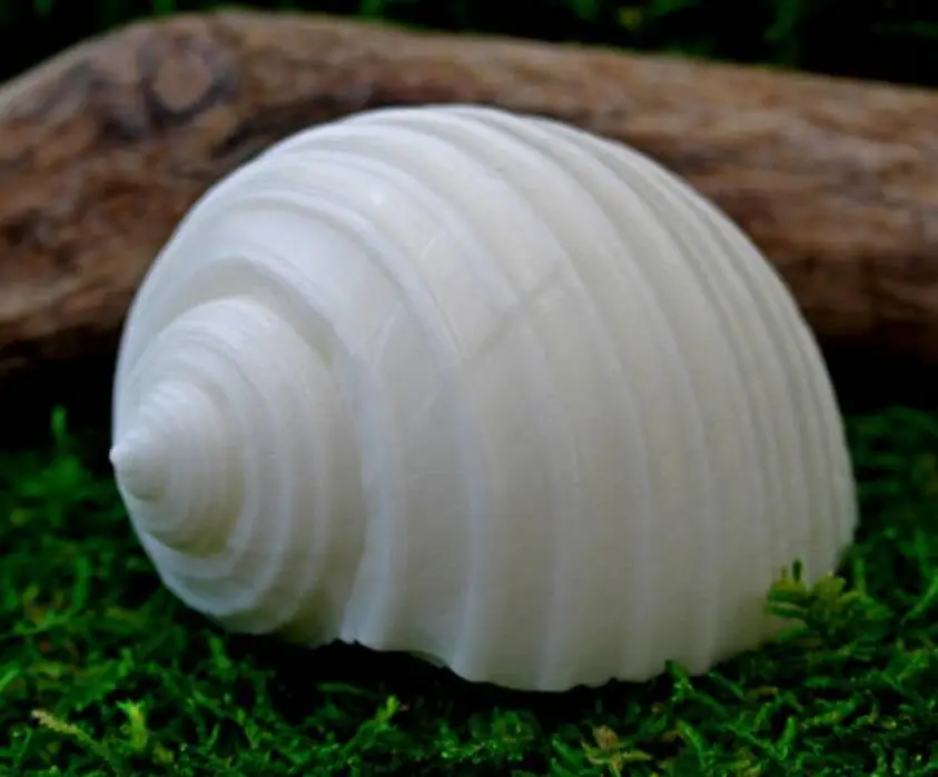 QT0032-7.jpg