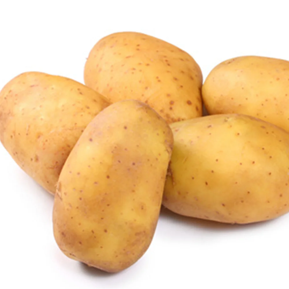 
Potato Starch Food grade Flour 