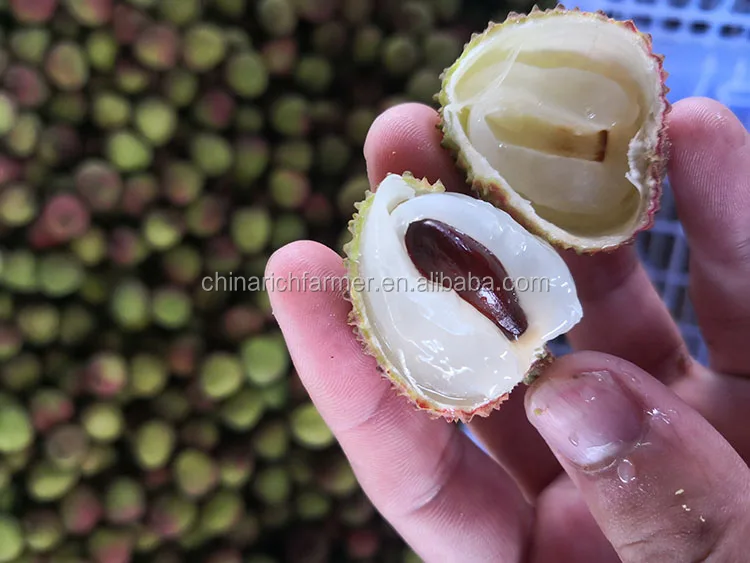 lychee(67)