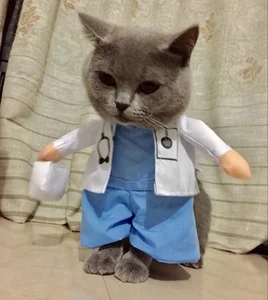 Image of New Products For Pet cat Costume Clothes Funny Cosplay doctor kitten Costumes