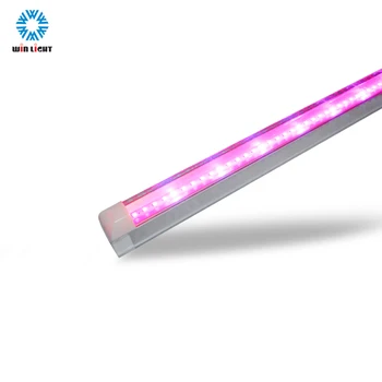 chinese led plant grow