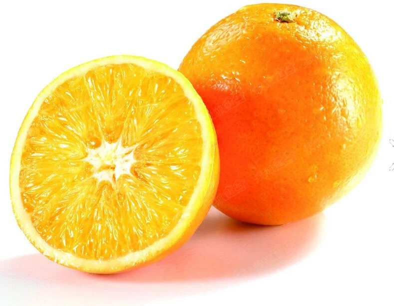 工厂供应 100% 天然柑橘橙提取物与橙皮苷