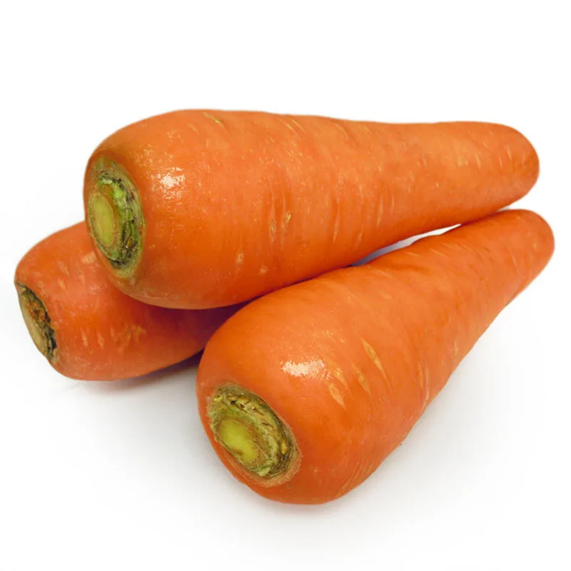 
Wholesale organic carrots 