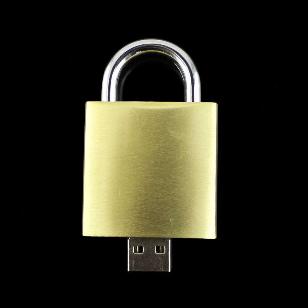 

Custom Pen Drive OEM Metal Stick USB Flash Drive Lock Shape