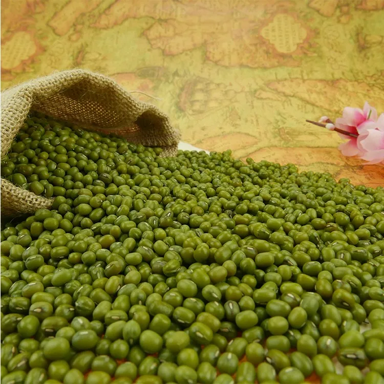 
High Sprouting Rate SMALL Green mung beans For Sale 