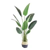 5 Years Factory Free Samples Green Bonsai Plants Decorative Interior Plastic Banana Artificial Tree