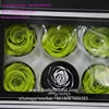 Best Wholesale Companies To Buy From Preserved Roses Flower And Fresh Flowers Directly From Our Farms From China