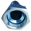 3/4" carbon steel Female BSPT hex plug cap