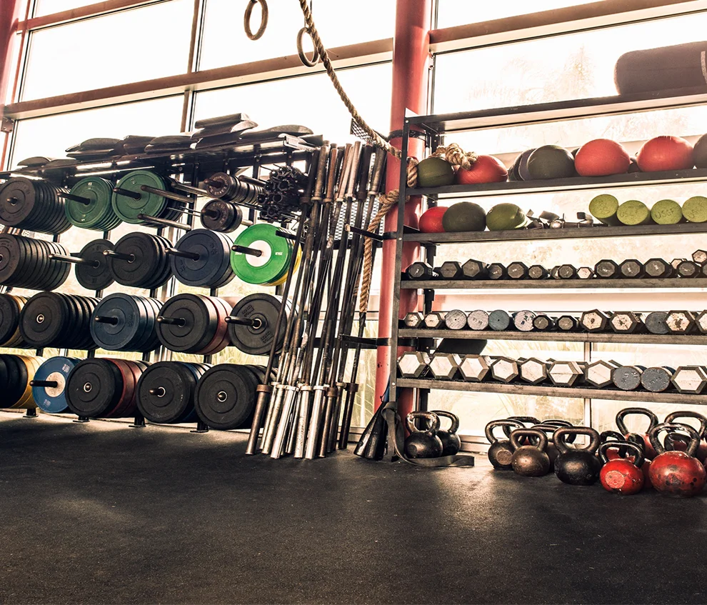 crossfit storage rack