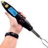 BBQ Meat Thermometer Digital Thermometer Test Four Kinds of Tasts With Double Probe Thermometer