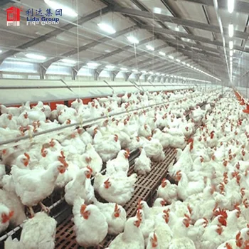 Free Range Poultry Housepoultry Broiler House Buy Poultry Broiler Housefree Range Poultry Housebroiler House Product On Alibabacom