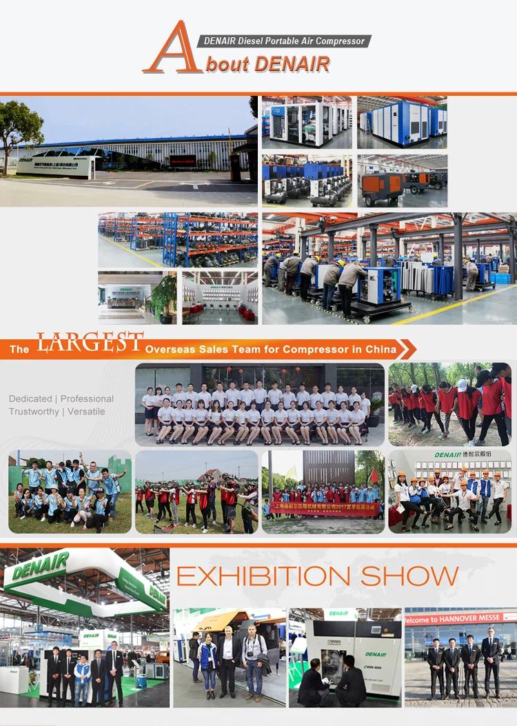 About DENAIR Compressor