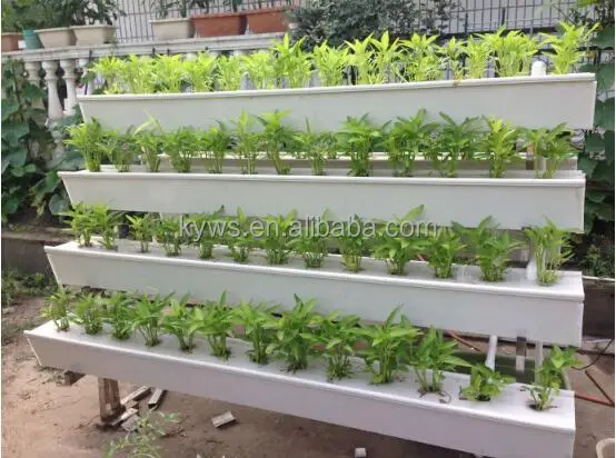 
Hydroponic substrate cultivation plastic gutter for lettuces 
