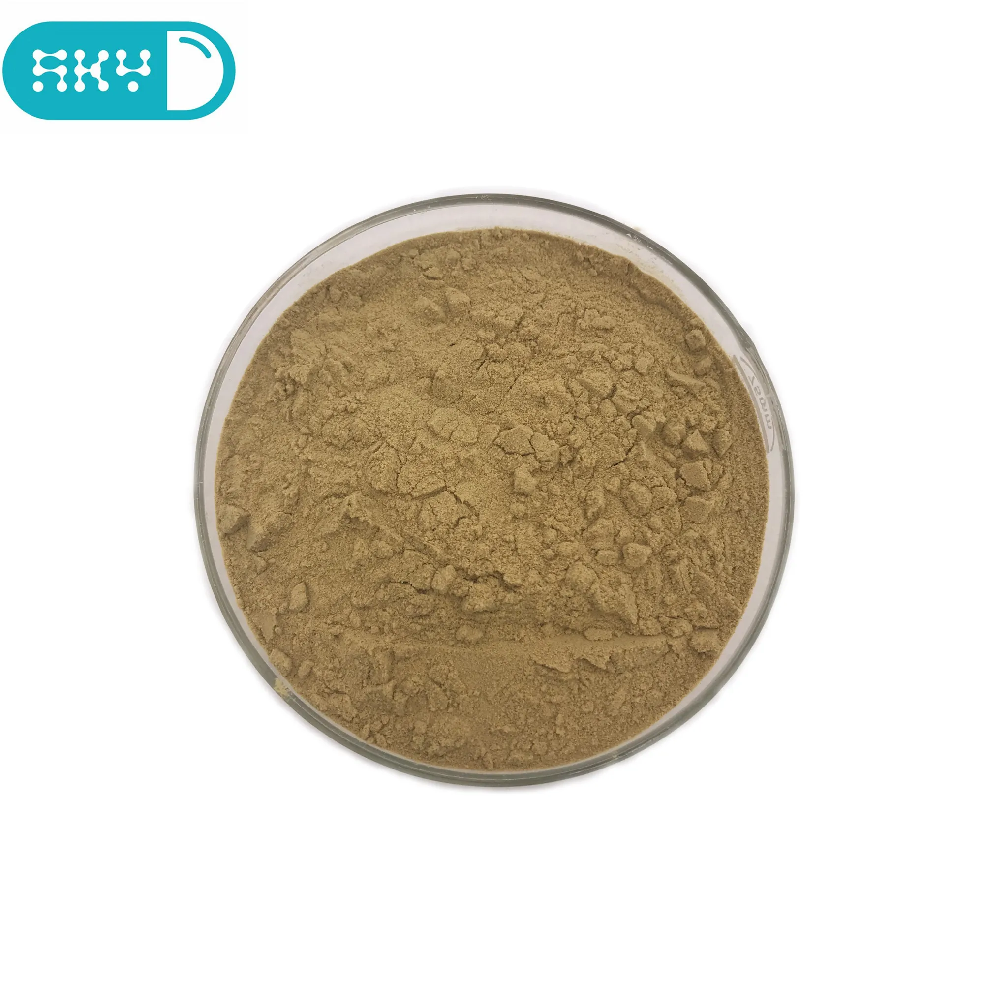 100 Natural Tuber Onion Seed Extract/semen Allii Tuberosi P.e. Buy Tuber Onion Seed Extract