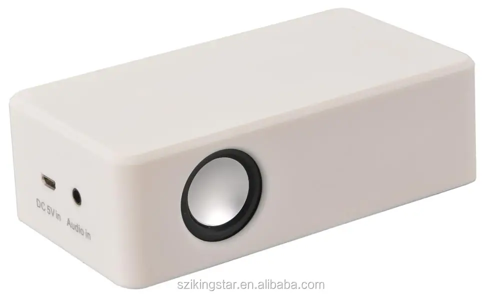 Induction speaker.jpg