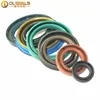 DLSEALS High pressure auto rubber seal with Double lip 20*30*6 material NBR + Iron TC oil seal