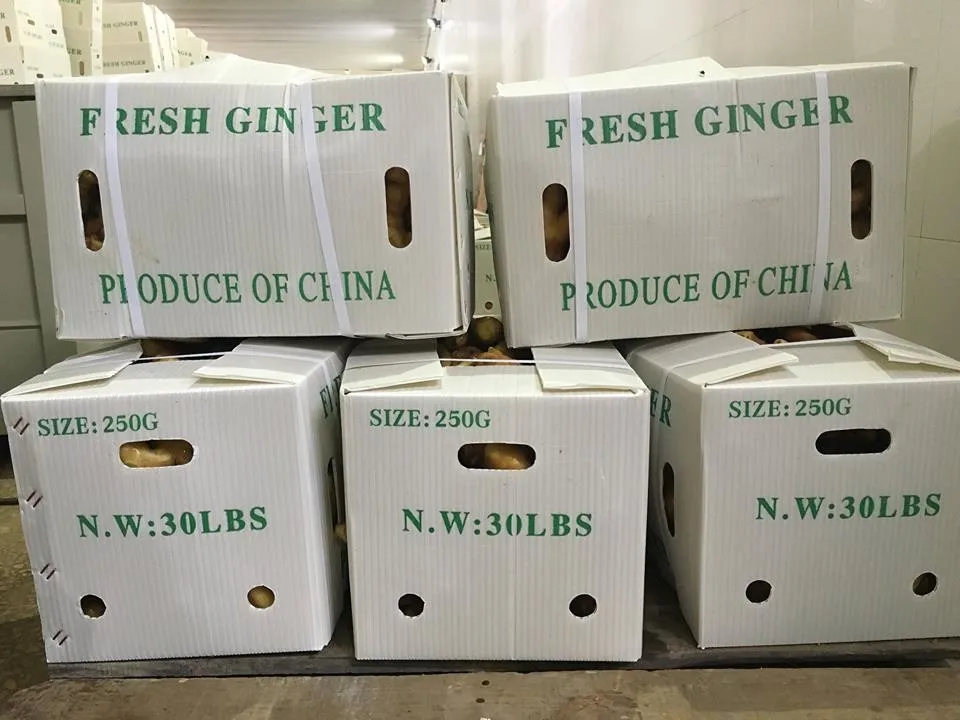 
2018 New Crop Fresh ginger whole prices exporting to overseas 