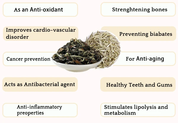 Lifeworth organic chinese white tea bags - 4uTea | 4uTea.com