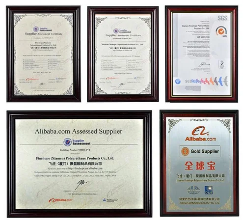 paste-pic-dp_uuid_6k2ex