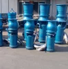 Model 350ZQB-70D/7.5KW(6) Flow 602-536-467 Head 1.85-2.61-3.37 Submersible Axial Flow Propeller Pump Price Skid Steer Parts