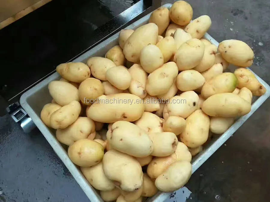 cocoyam peeling and washing machine