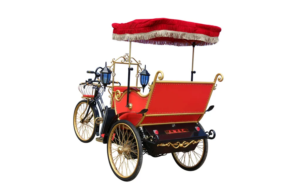 48v 800w Passenger Three Wheel Pedicab Electric Rickshaw Buy Rickshaw