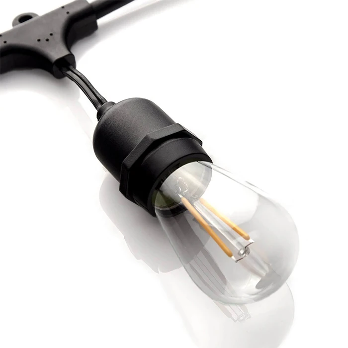 festoon light-3.jpg